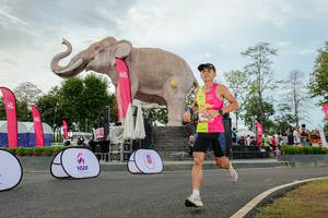 BIB: 
                            <button type="button" onclick="openModal(26528704)" class="btn btn-primary btn-sm float-right btn-popup" data-toggle="modal" data-target=".modal-high-quality">
                        <i class="fas fa-shopping-cart"></i> Add to Cart
                    </button>
                                            <button type="button" onclick="isThisMe(26528704, true)" class="btn btn-success btn-sm float-right btn-popup btn-isme hidden" data-toggle="tooltip" data-placement="bottom" title="นี่คือรูปของคุณใช่ไหม คลิกที่นี่เพื่อเอาเข้าอัลบั้ม">
                        <i class="fas fa-plus"></i> Add to album
                    </button>
                    <button type="button" onclick="isThisMe(26528704, false)" class="btn btn-warning btn-sm float-right btn-popup btn-isnotme hidden">
                        <i class="fas fa-ban"></i> Remove from album
                    </button>